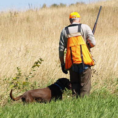 Gear and Accessories